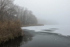 Rezerwat „Kolno Międzychodzkie"