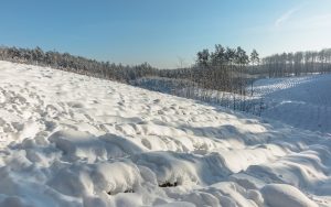 Szlak na Gontyniec