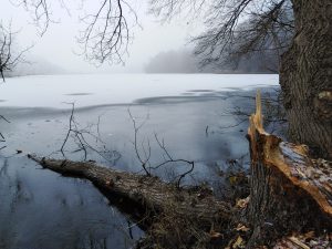 Rezerwat „Kolno Międzychodzkie"