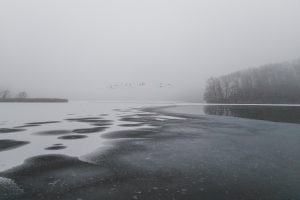 Rezerwat „Kolno Międzychodzkie"