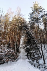 Szlak na Gontyniec