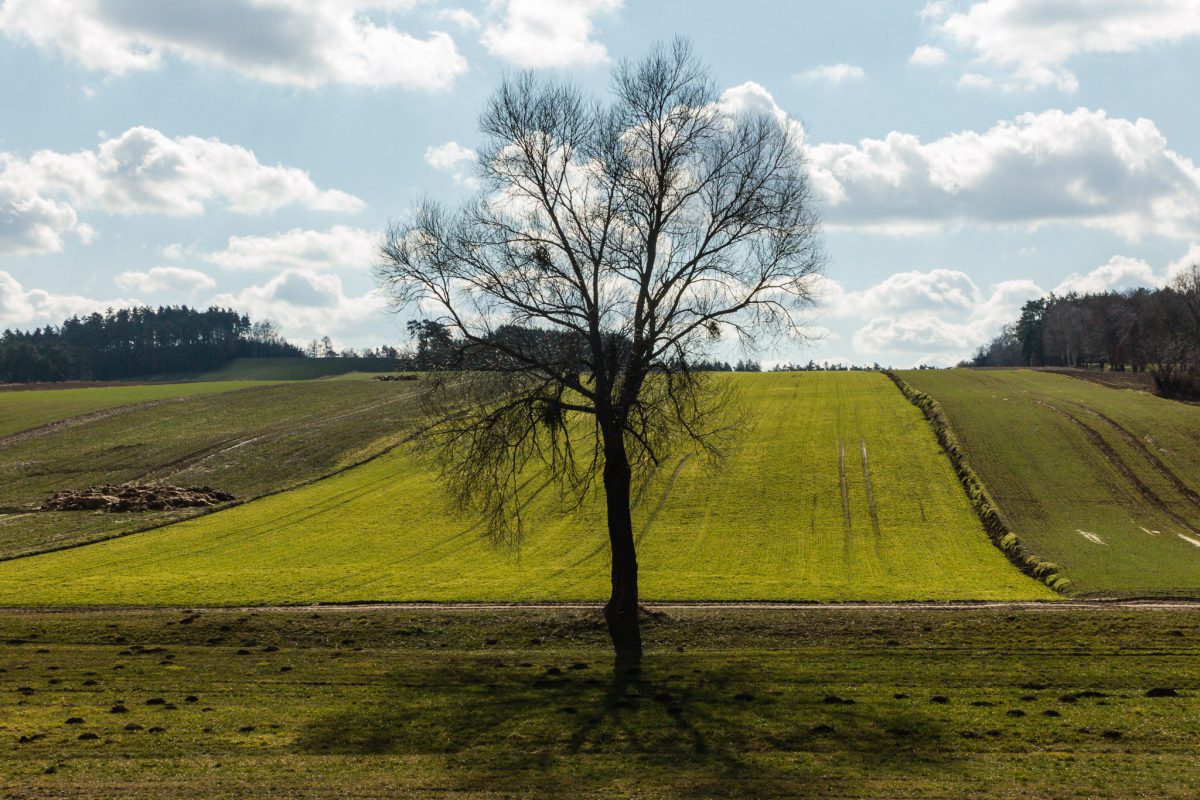 Szwajcaria Żerkowska i Łysa Góra