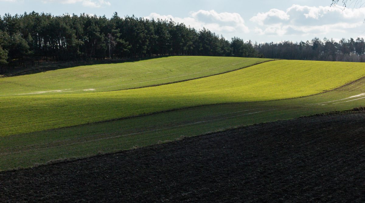 Szwajcaria Żerkowska i Łysa Góra