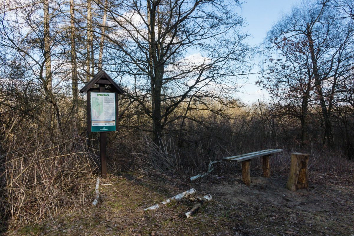 Szwajcaria Żerkowska i Łysa Góra