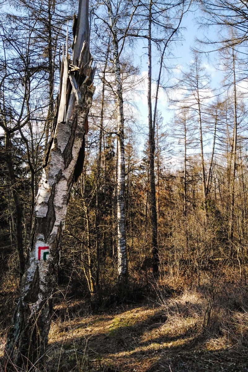 Szwajcaria Żerkowska i Łysa Góra